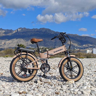 Bicicleta eléctrica, todo terreno