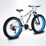 Электро велосипед Fat white  Danis, 400W, 10Ач