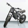 Bicicleta eléctrica, ciclomotor